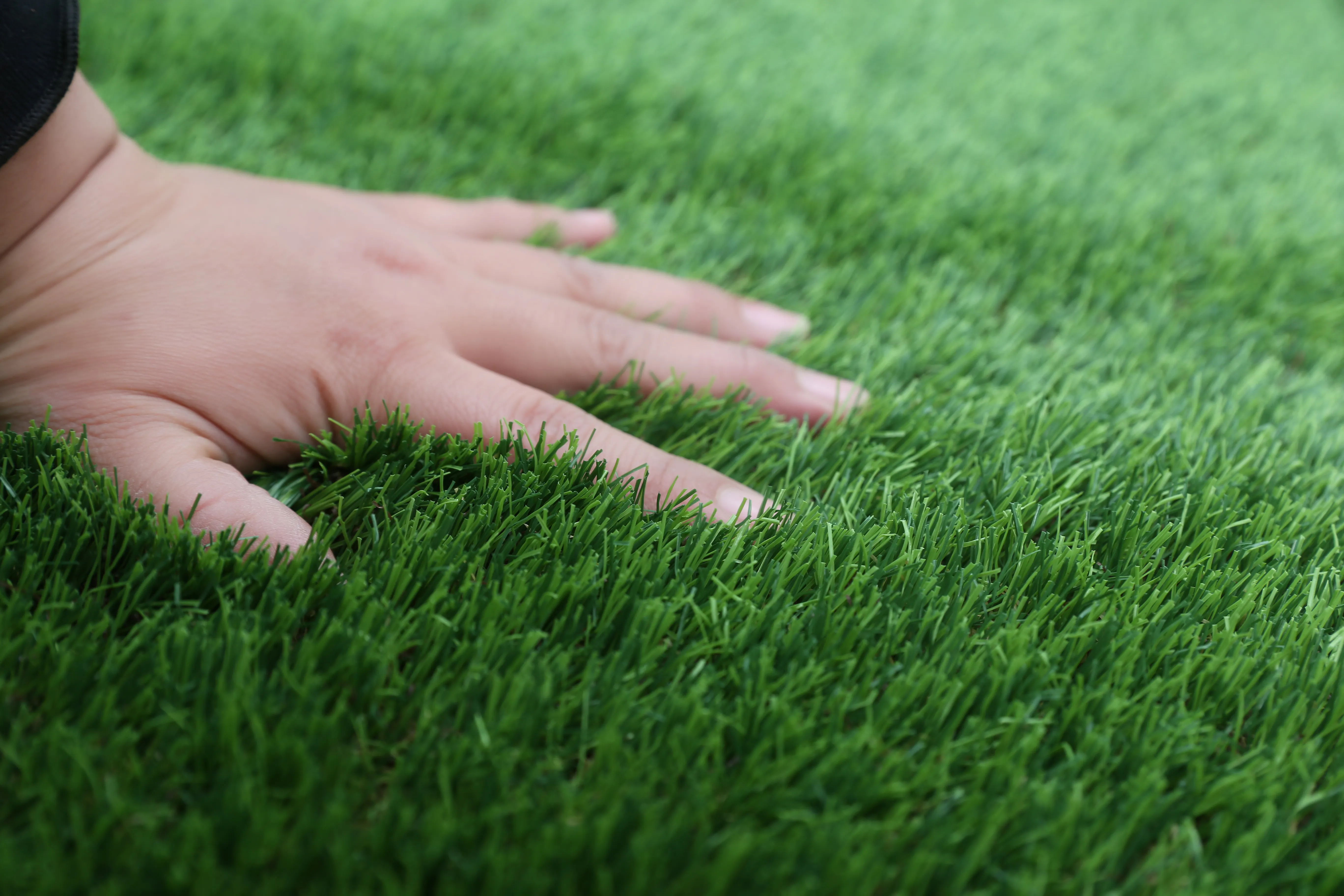 Artificial grass - new product.